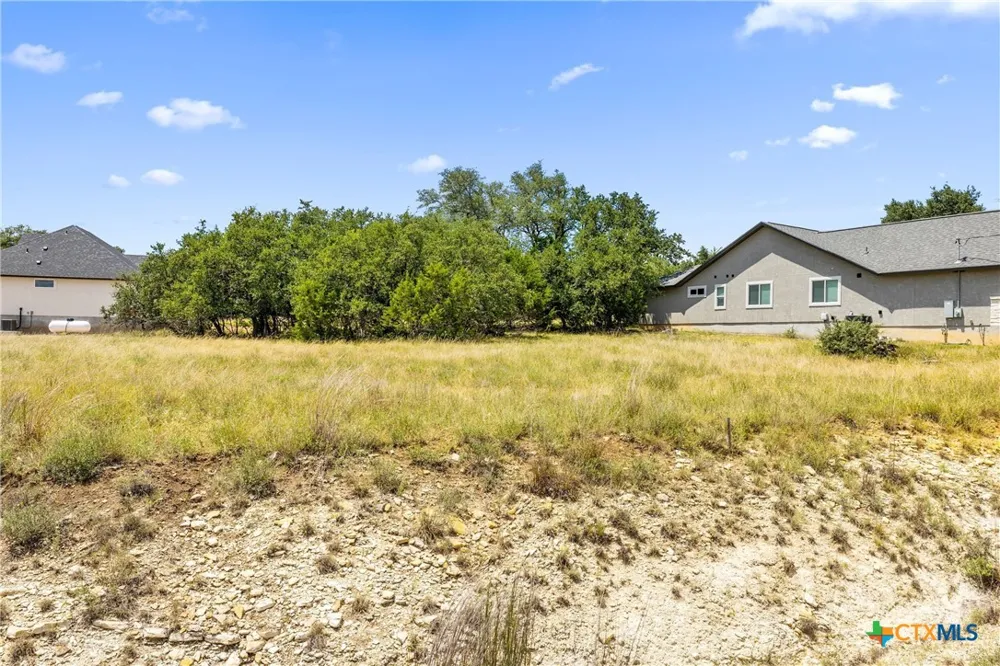 223 Peter Kleid Loop Blanco, TX 78606