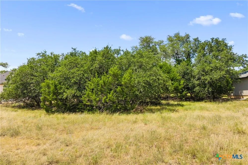 223 Peter Kleid Loop Blanco, TX 78606