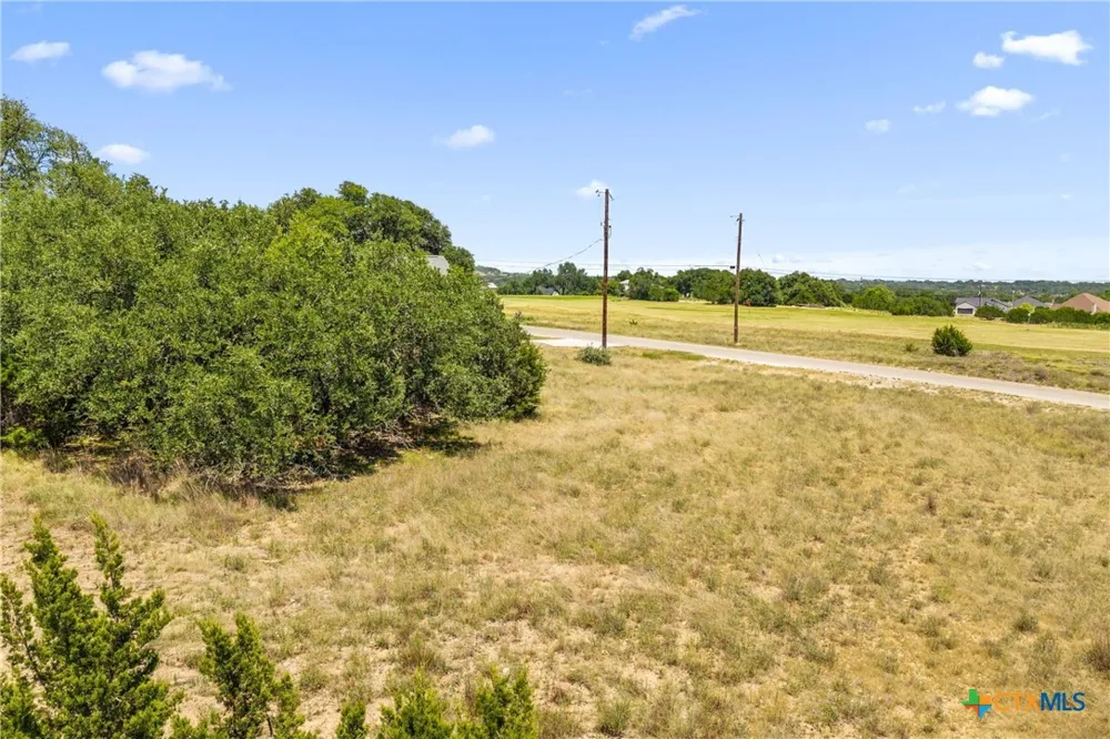 223 Peter Kleid Loop Blanco, TX 78606