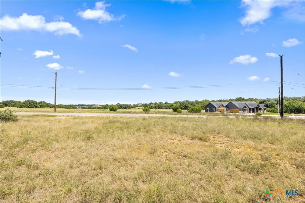 223 Peter Kleid Loop Blanco, TX 78606