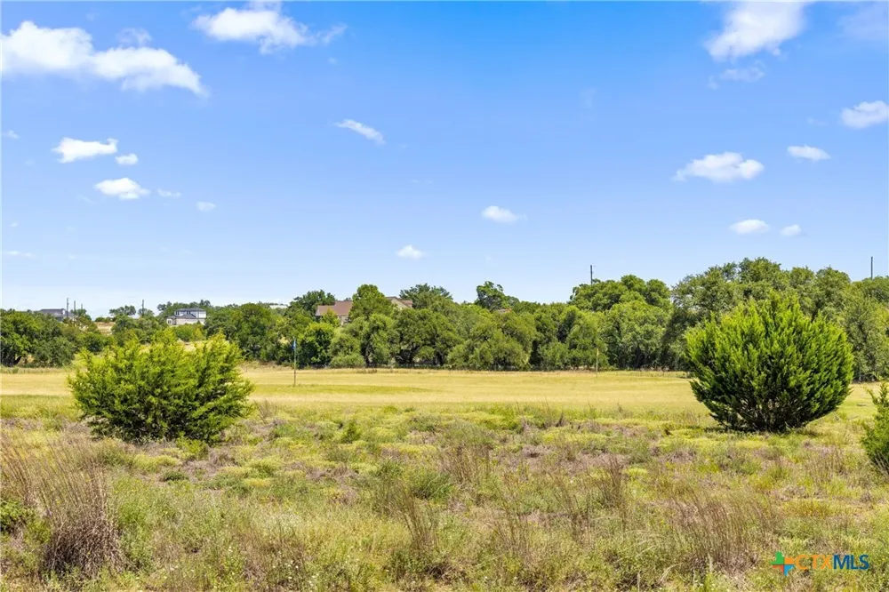 223 Peter Kleid Loop Blanco, TX 78606