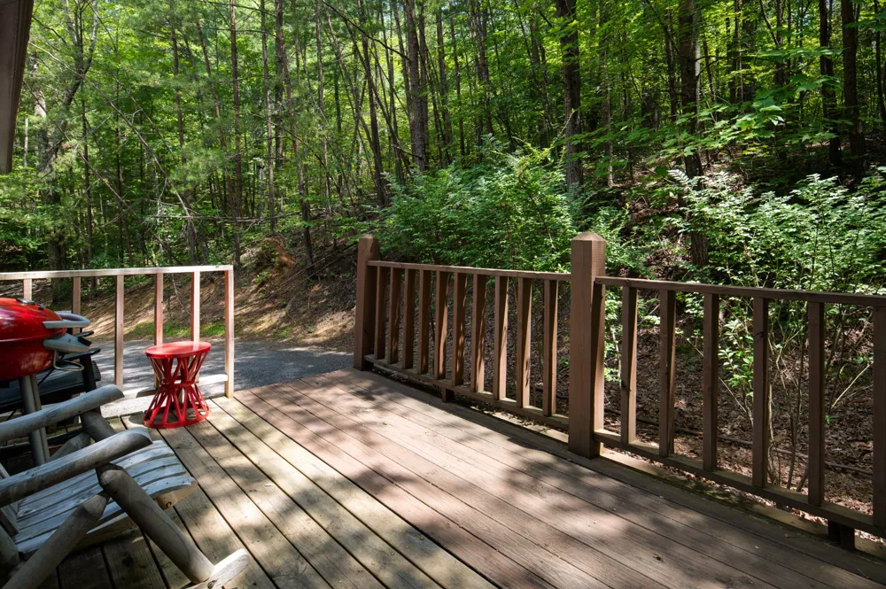 2345 Courtney Ln Sevierville, TN 37876