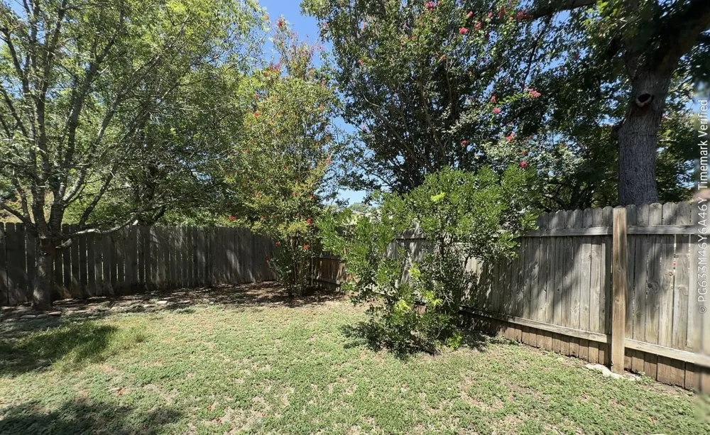 3126 Jazz Street Round Rock, TX 78664