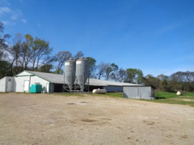 9773 FM 556 Gilmer, TX 75444