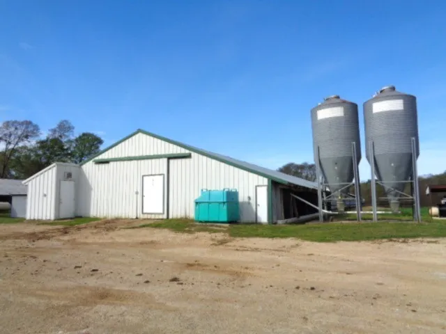 9773 FM 556 Gilmer, TX 75444