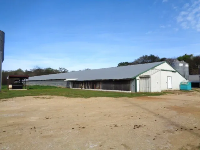 9773 FM 556 Gilmer, TX 75444