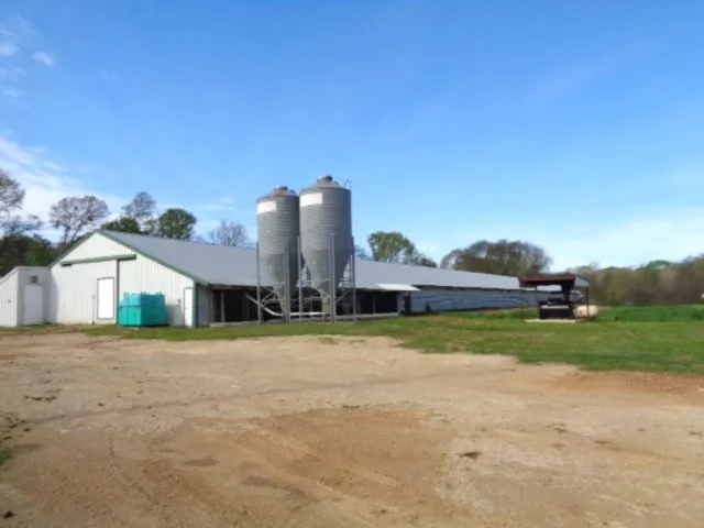 9773 FM 556 Gilmer, TX 75444