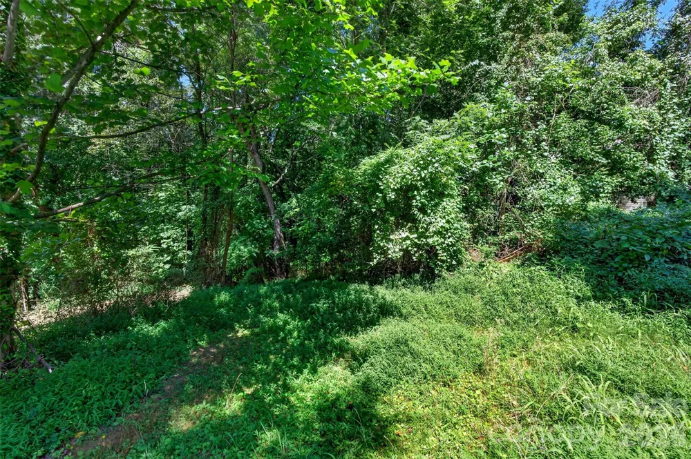 21 Maple Avenue Candler, NC 28715