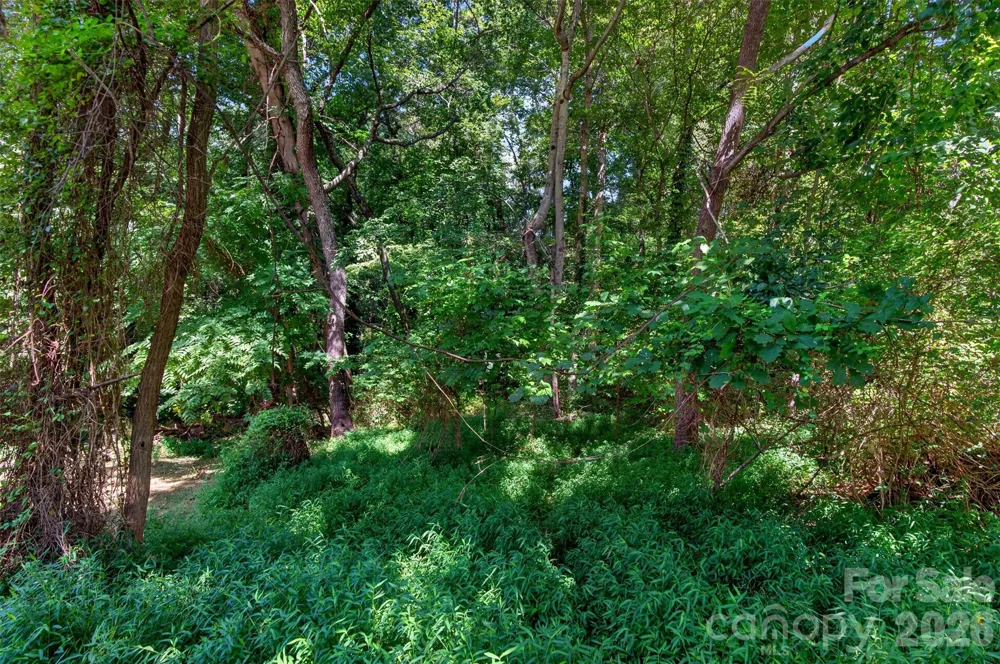 21 Maple Avenue Candler, NC 28715