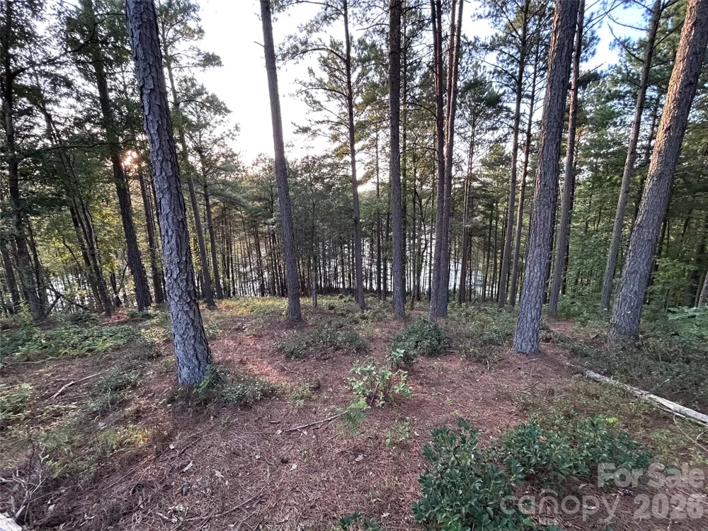 2297 ANCHOR LANE Connelly Springs, NC 28612
