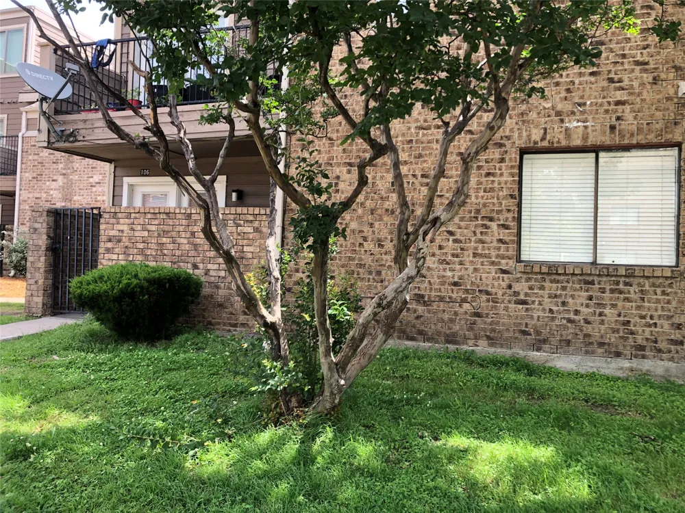 9829 Walnut Street #O106 Dallas, TX 75243