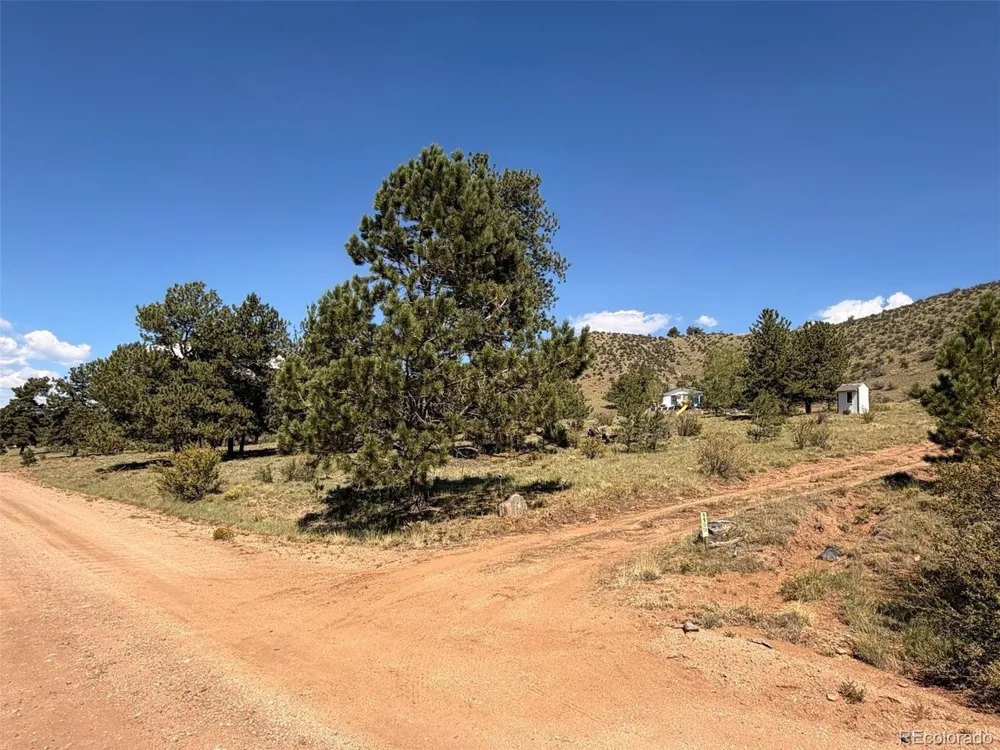 1199 Jefferson Road Hartsel, CO 80449