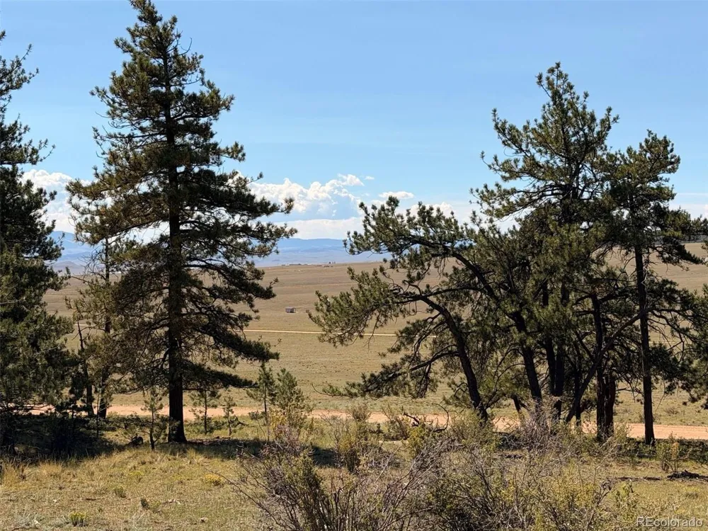 1199 Jefferson Road Hartsel, CO 80449