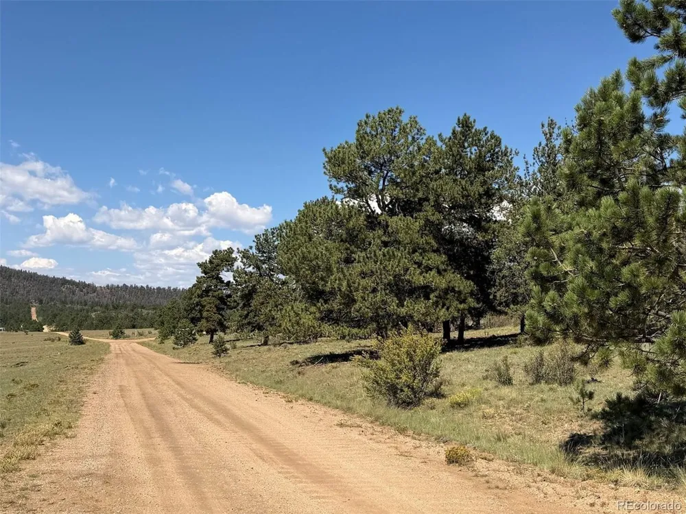 1199 Jefferson Road Hartsel, CO 80449
