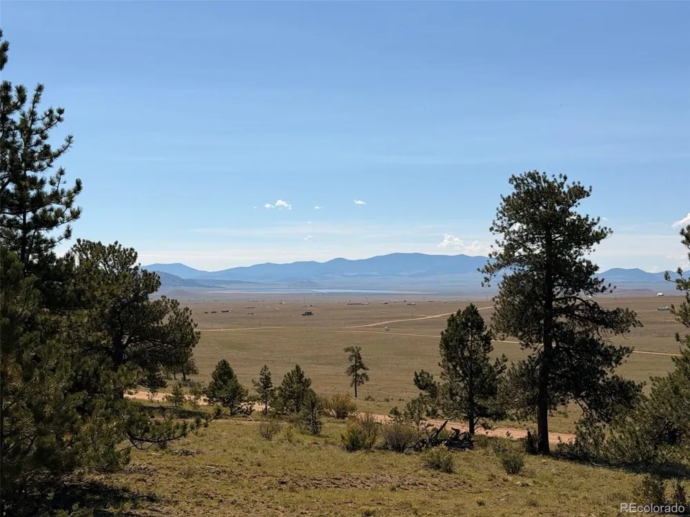 1199 Jefferson Road Hartsel, CO 80449