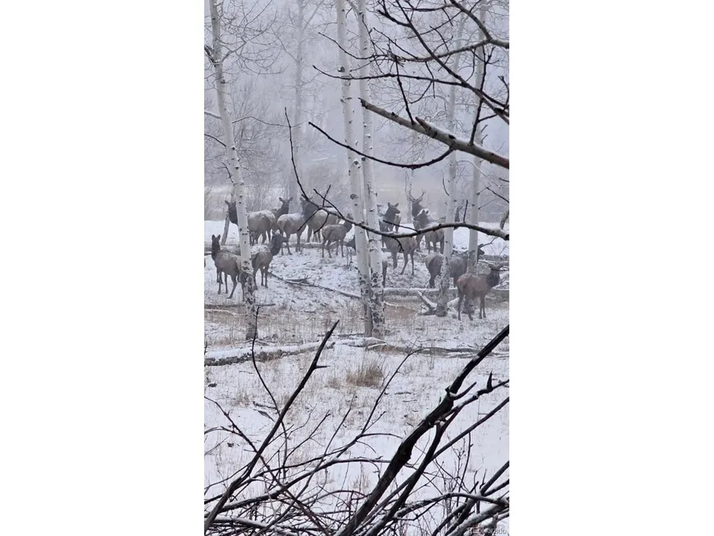 10401 Windy Ridge Rd Road Aguilar, CO 81020