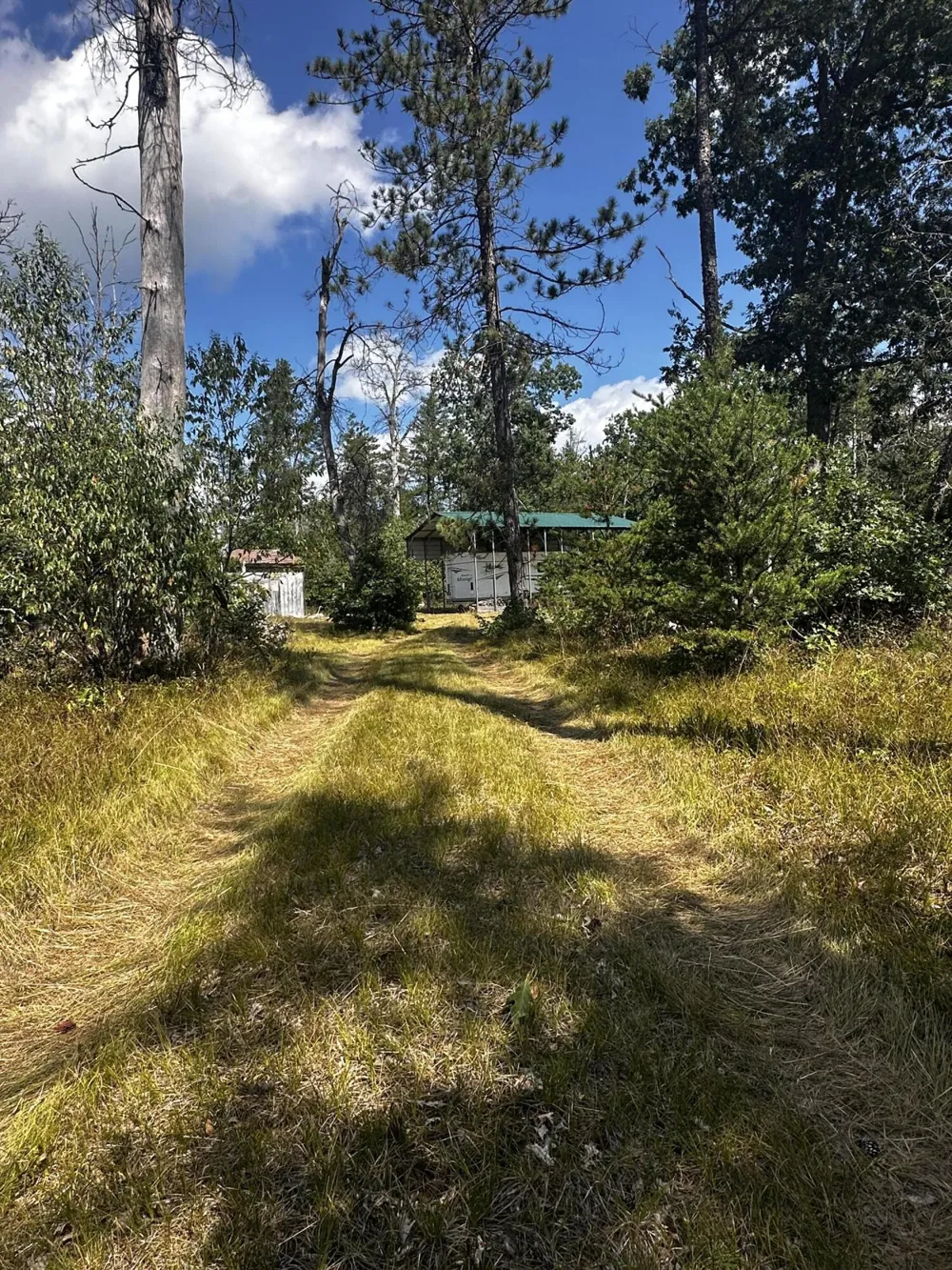 668 W Pine Brush Irons, MI 49644