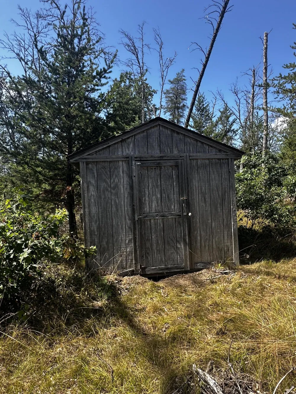 668 W Pine Brush Irons, MI 49644