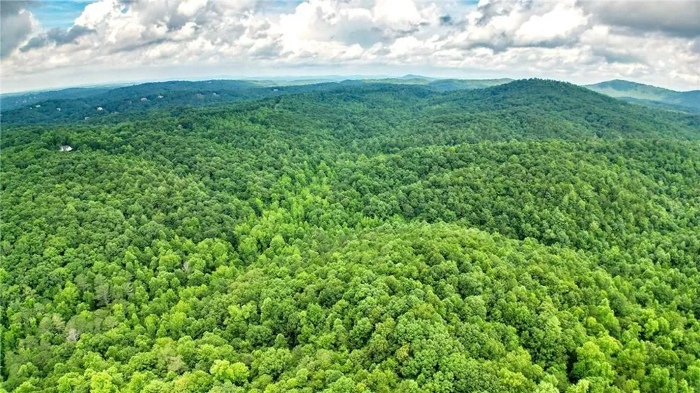 Trt A Cascade Drive Jasper, GA 30143