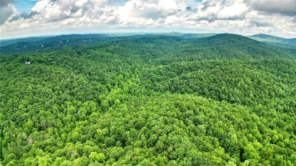 Trt A Cascade Drive Jasper, GA 30143