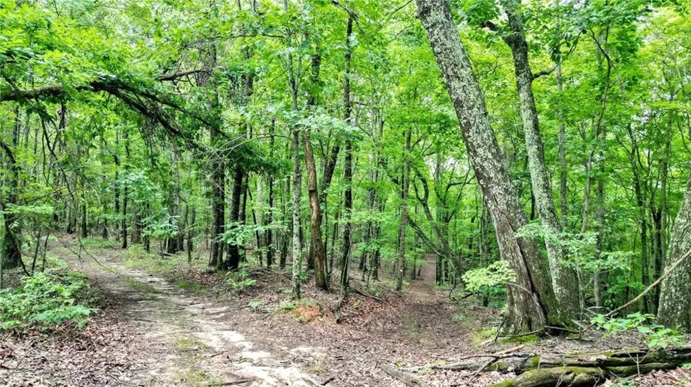Trt A Cascade Drive Jasper, GA 30143