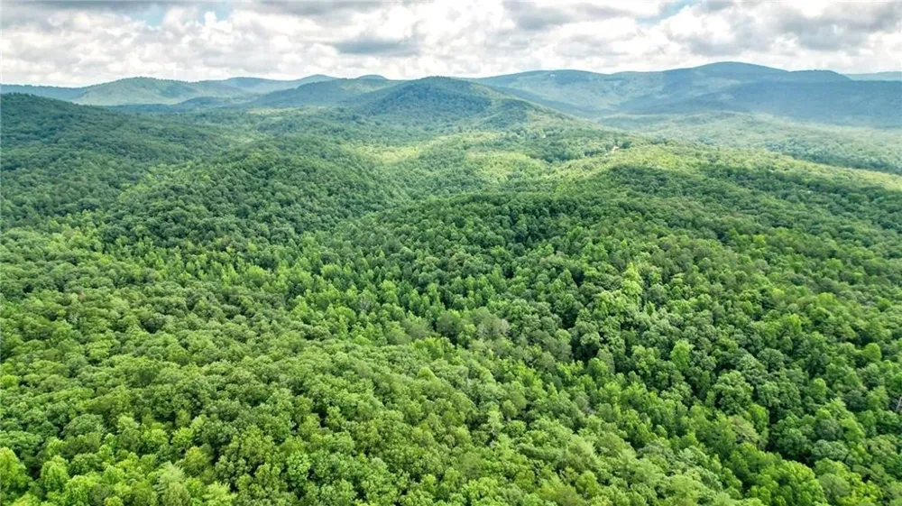 Trt A Cascade Drive Jasper, GA 30143