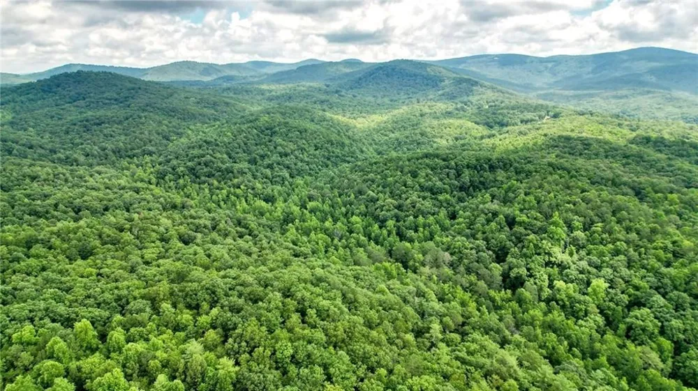 Trt A Cascade Drive Jasper, GA 30143