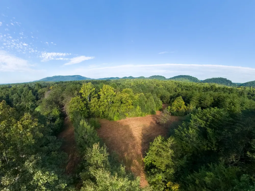 408 Shadden Rd Tellico Plains, TN 37385