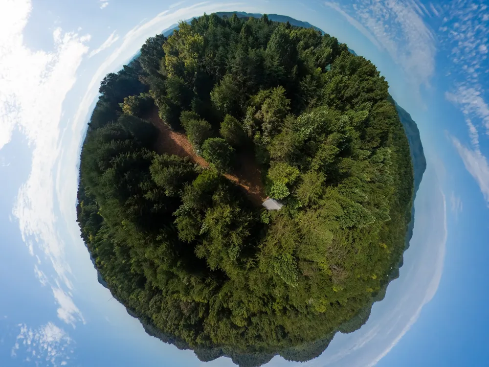 408 Shadden Rd Tellico Plains, TN 37385