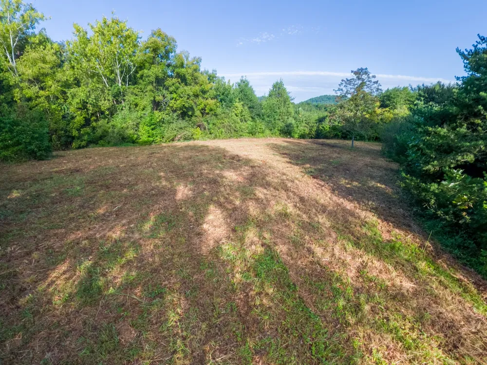 408 Shadden Rd Tellico Plains, TN 37385