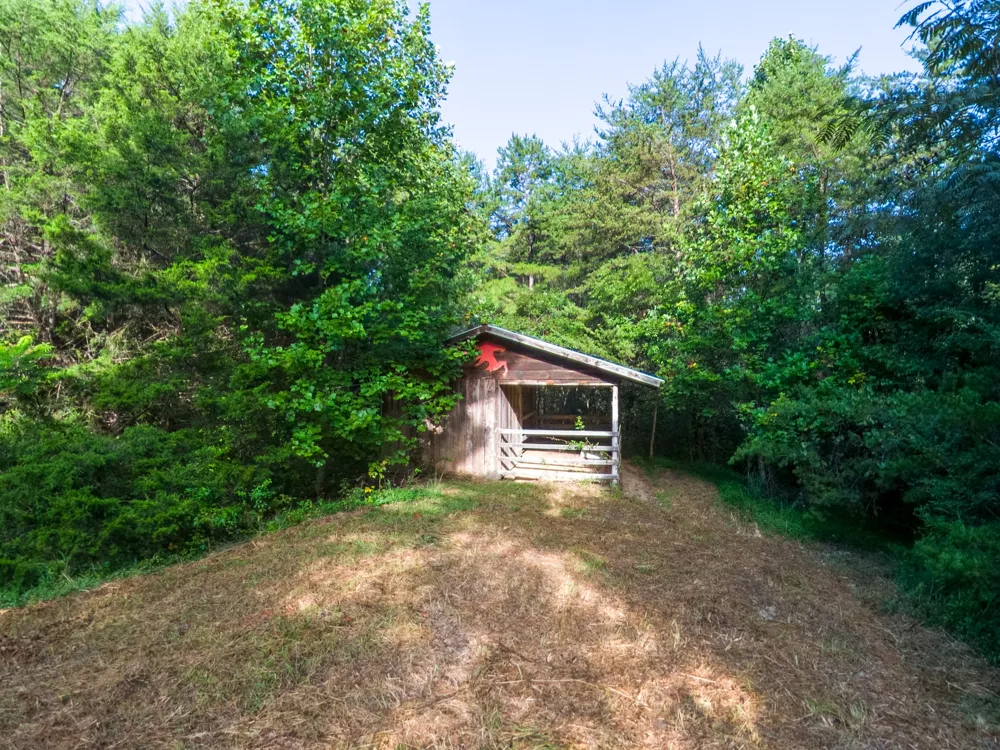 408 Shadden Rd Tellico Plains, TN 37385