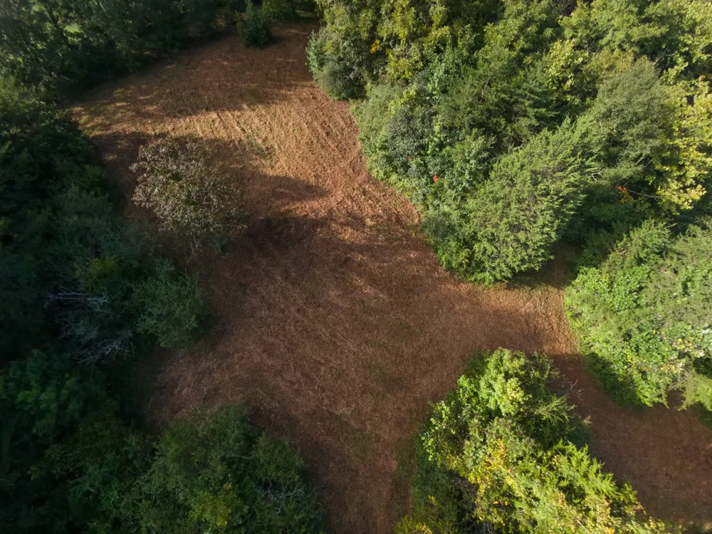 408 Shadden Rd Tellico Plains, TN 37385