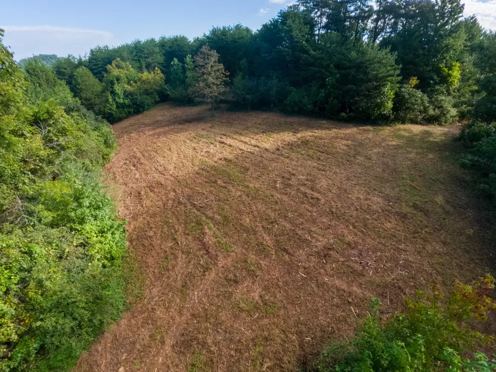 408 Shadden Rd Tellico Plains, TN 37385