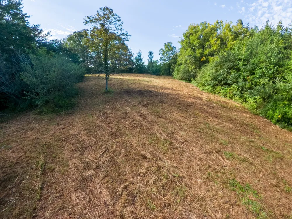 408 Shadden Rd Tellico Plains, TN 37385