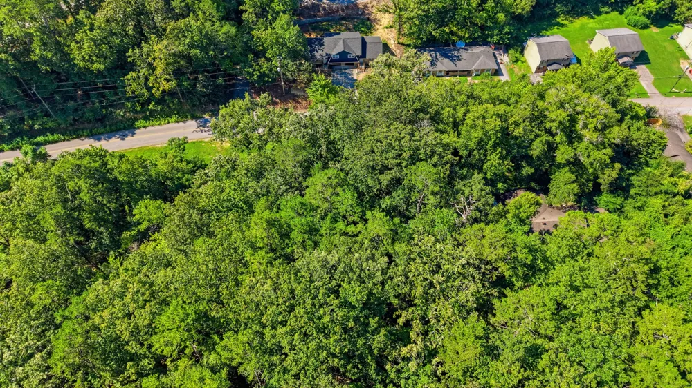 Tom Wilson Trail Chattanooga, TN 37412