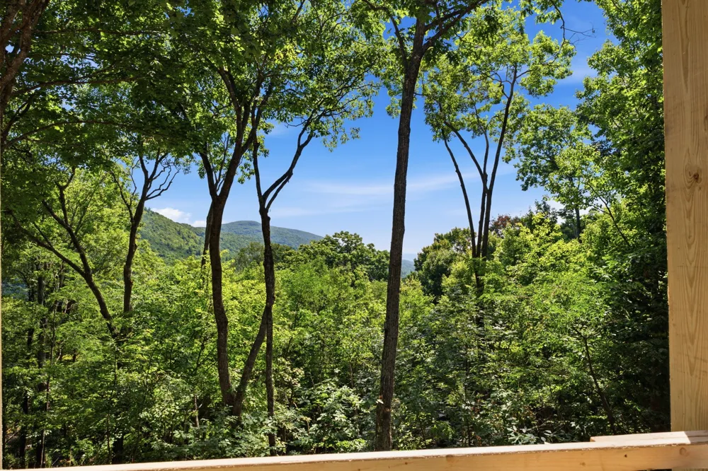 56 Frond Court Sapphire, NC 28774