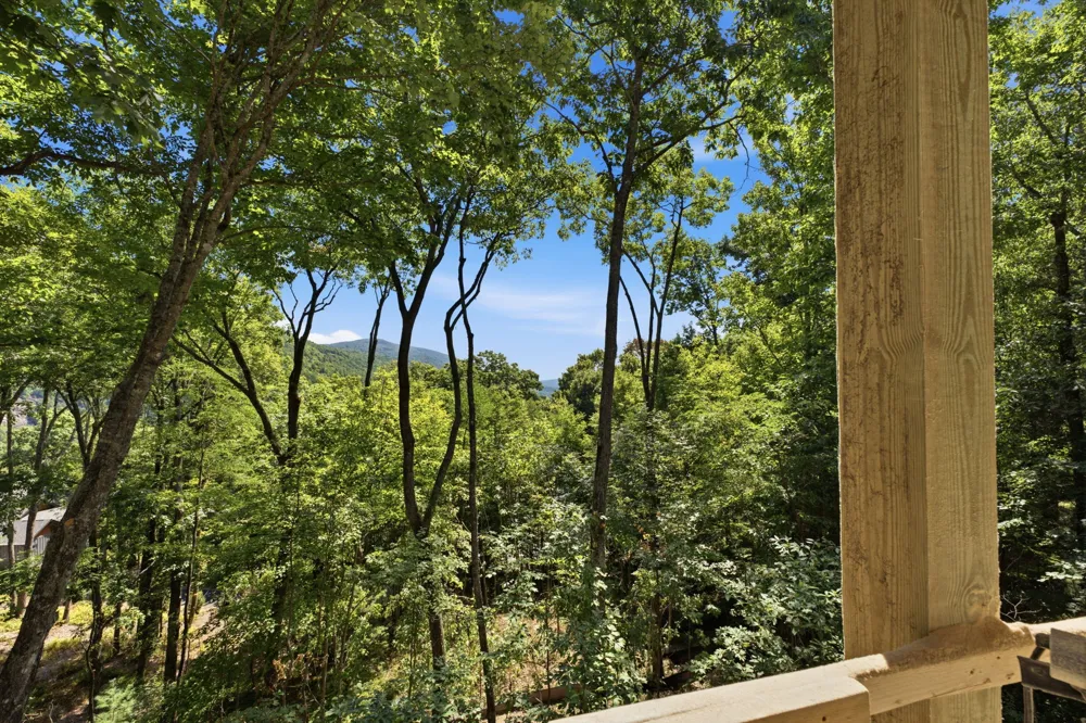 56 Frond Court Sapphire, NC 28774