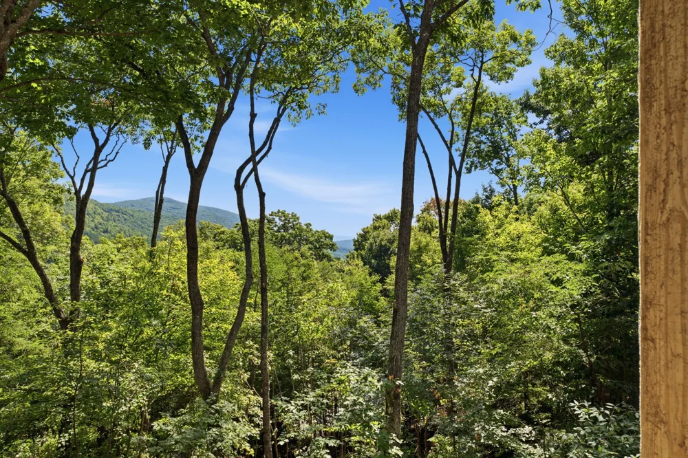 56 Frond Court Sapphire, NC 28774