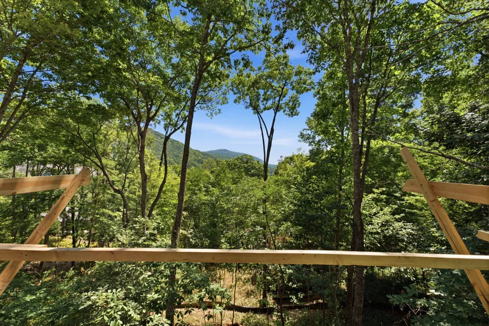 56 Frond Court Sapphire, NC 28774