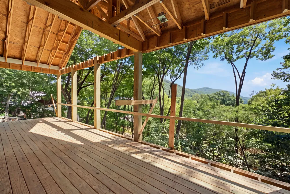 56 Frond Court Sapphire, NC 28774