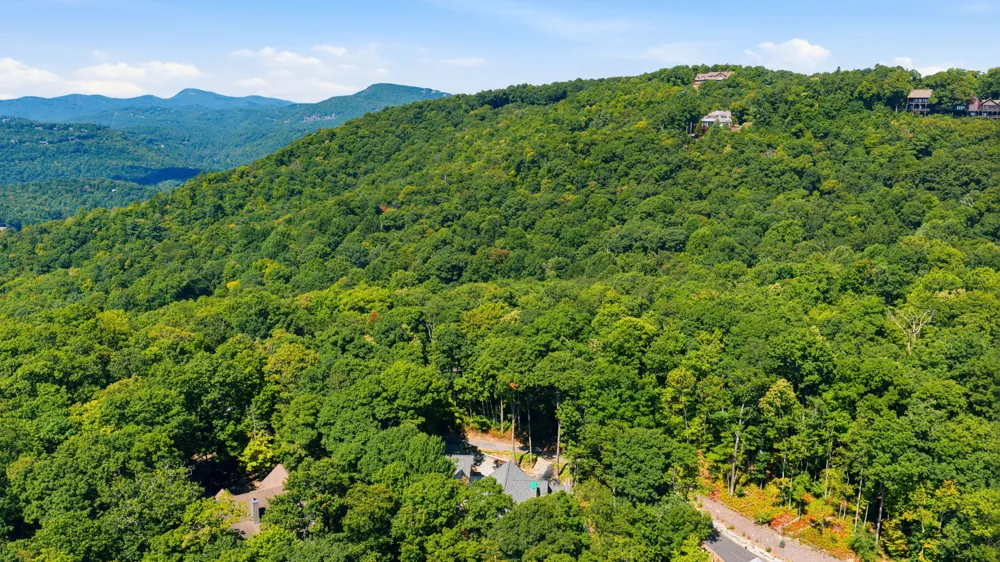 56 Frond Court Sapphire, NC 28774