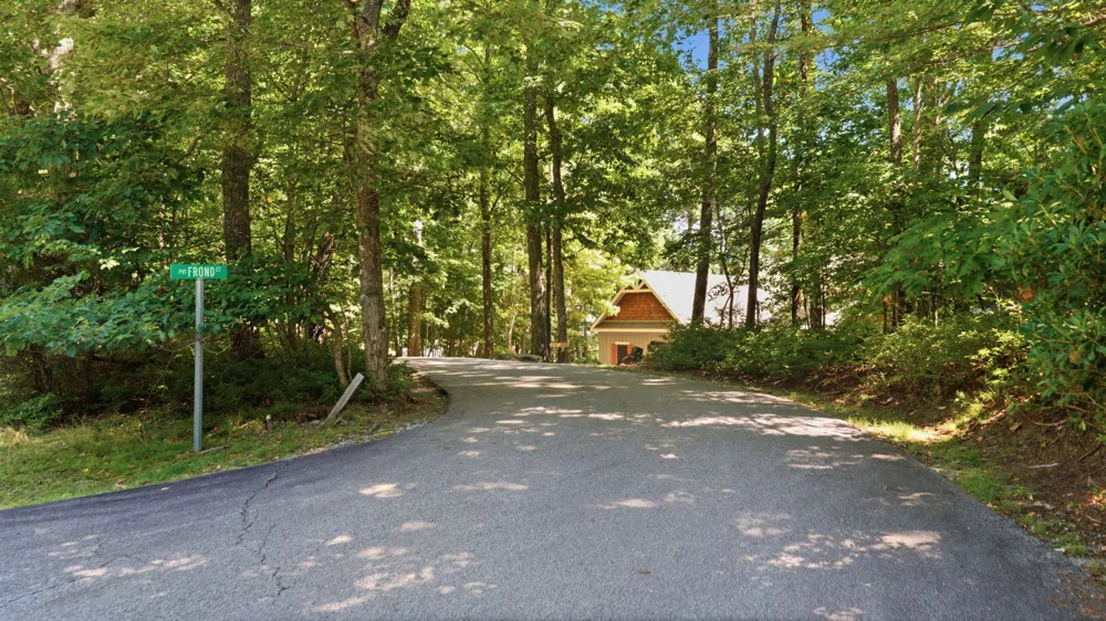 56 Frond Court Sapphire, NC 28774