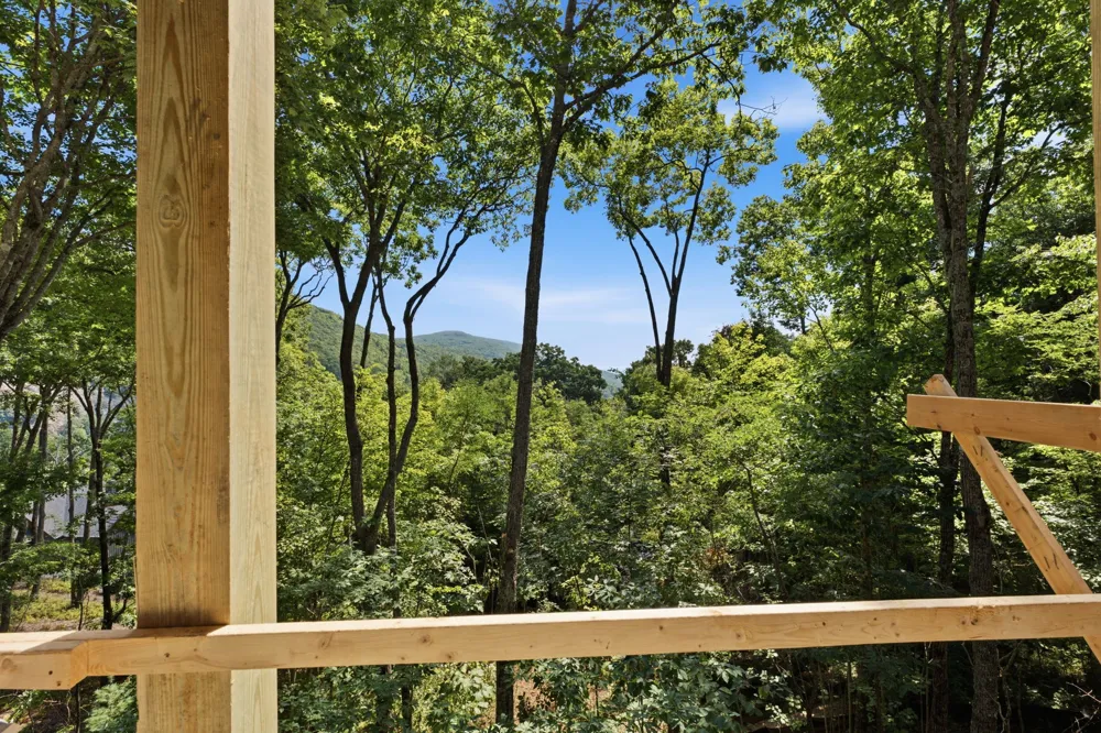 56 Frond Court Sapphire, NC 28774