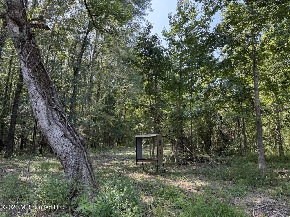 Potluck Road Canton, MS 39046