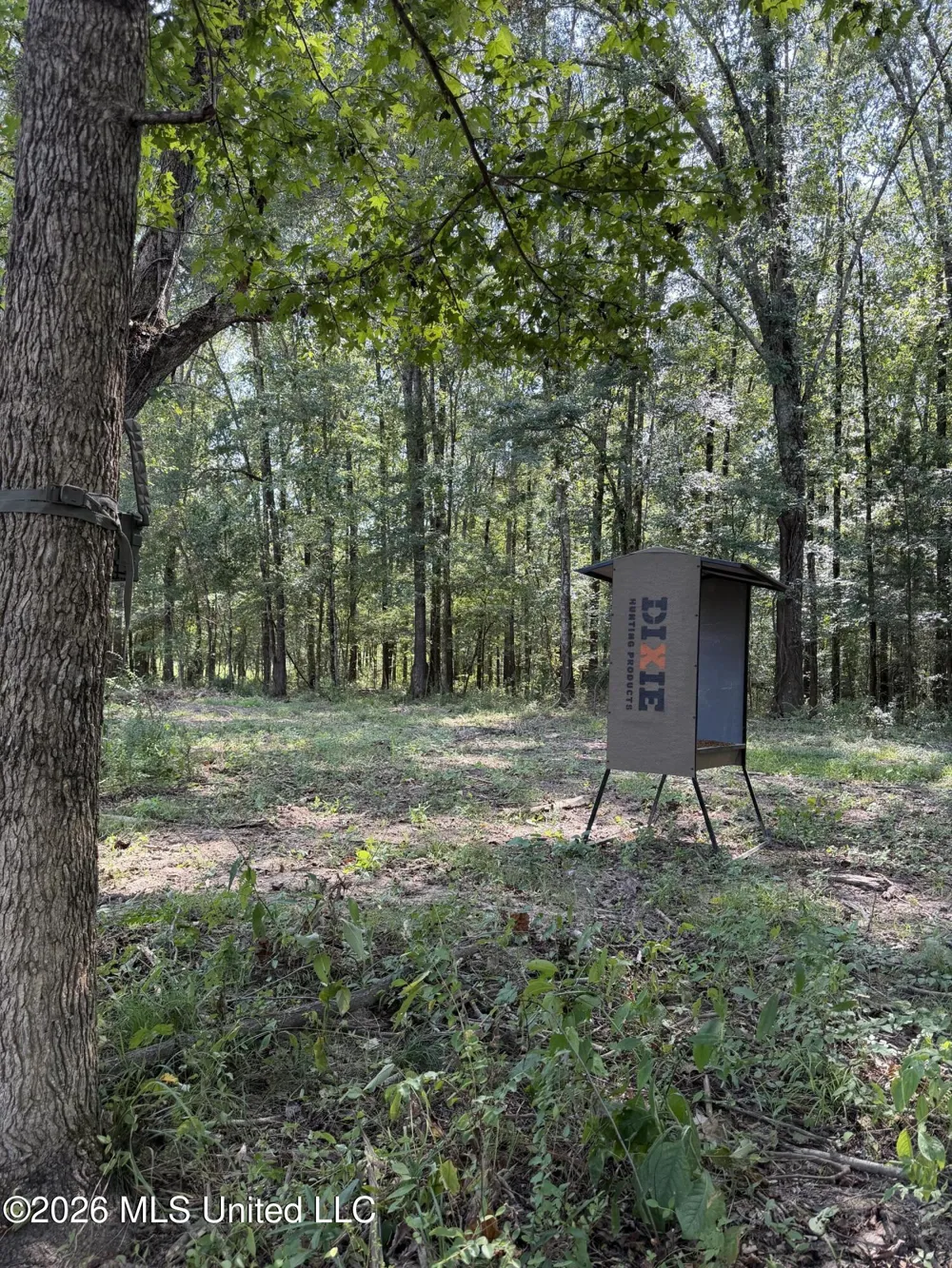 Potluck Road Canton, MS 39046
