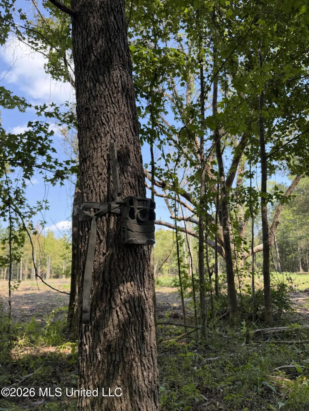 Potluck Road Canton, MS 39046