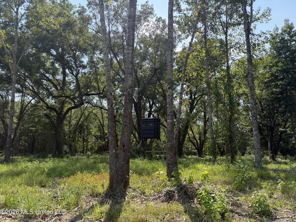 Potluck Road Canton, MS 39046