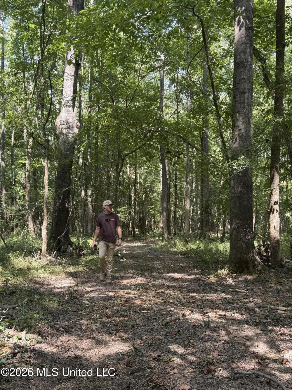 Potluck Road Canton, MS 39046