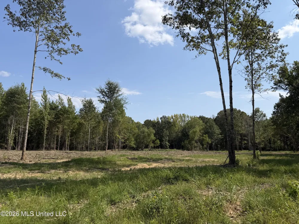 Potluck Road Canton, MS 39046