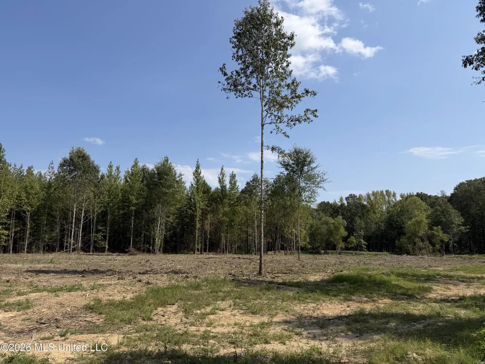 Potluck Road Canton, MS 39046